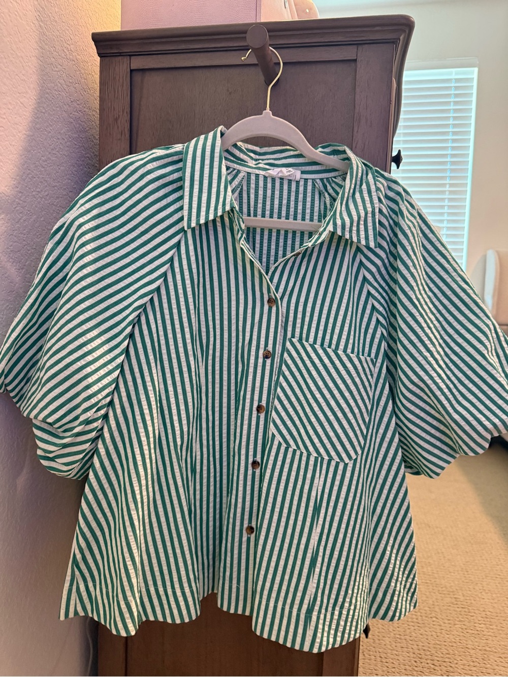 Green & White Striped Button-Front Blouse